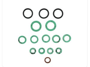 Alpha Pump & Heat Exchanger Washer O'Ring Seal Kit 3.013387