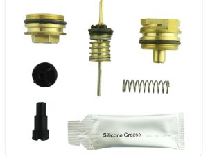 Saunier Duval 3 Way Valve Cartridge Repair Kit S1006400